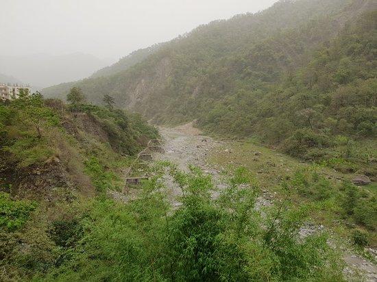 Mr Lee's Chinese Restaurant