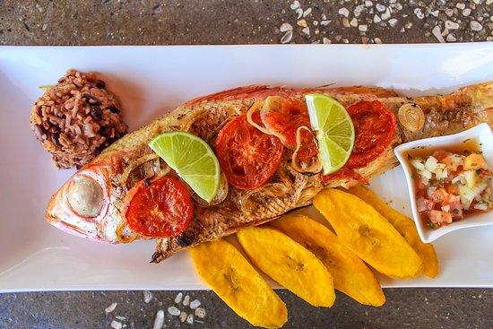 The Lotus at Xbalanque