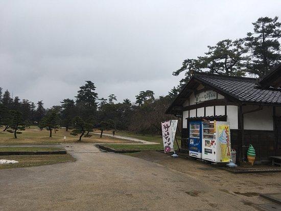 Soba And Sweets Japanese Cafe Chidori