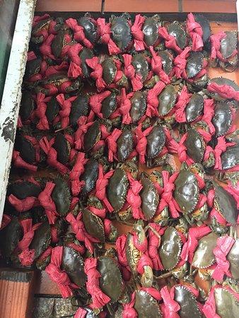 Phuong Nam Grill Restaurant