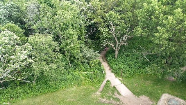 Lapham Peak Observation Tower