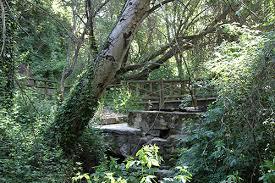 El Forestal De Villaviciosa De Odón