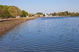 Unterer Großhartmannsdorfer Teich