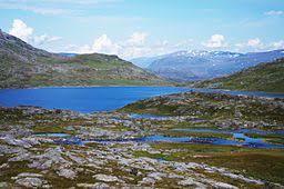 Katterjaure