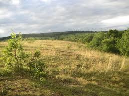 Naturschutzgebiet Thenau