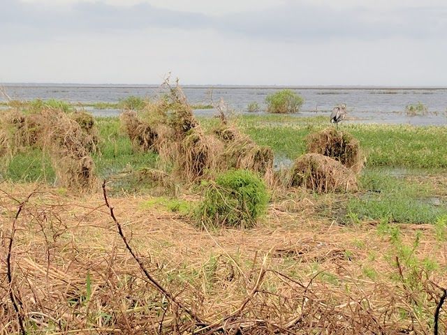 Lake Okeechobee Park