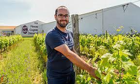 Vignoble d'Oléron Tardet-Pradere