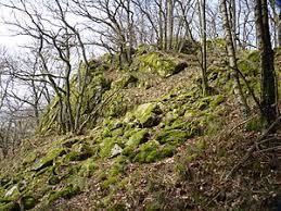Albaumer Klippen