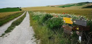 Reserve naturelle regionale du mont de Couple