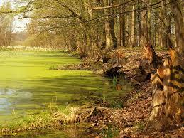 Stobrawski Park Krajobrazowy