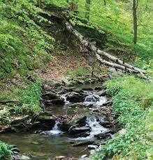 Silent Valley Nature Reserve