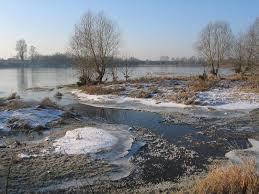 Réserve naturelle nationale de Saint-Mesmin