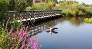Natuurpark Vrije Geer
