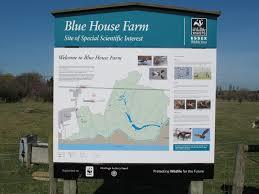 Blue House Farm