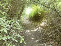 Roman River Valley