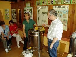 La Casa De Les Abelles