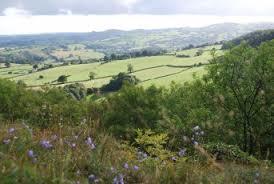 Craig Sychtyn Nature Reserve