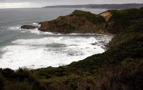 Dinosaur Cove