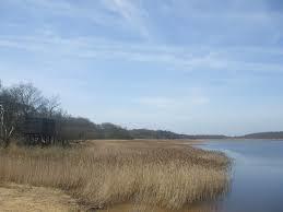 Benacre National Nature Reserve