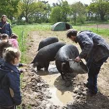Hundred River Maize Maze