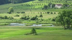 Heinz-Sielmann-Weiher