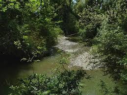 Parco Fluviale del Molino Grande