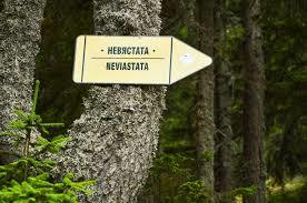 Nevystata Eco Trail