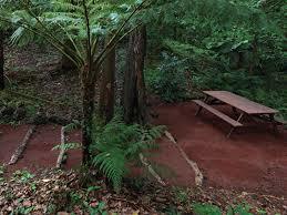 Reserva Florestal de Recreio do Pinhal da Paz