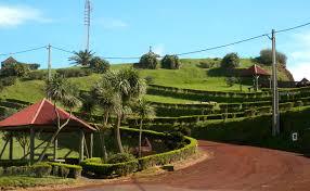 Lookout viewpoint of Whales of the Chapels