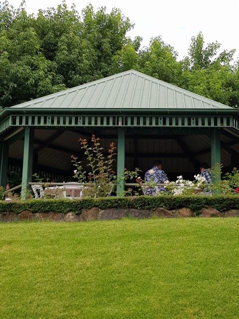 Mt Tamborine Rainforest Walk