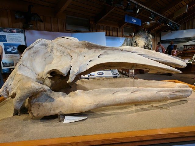 Point Reyes Visitor Center