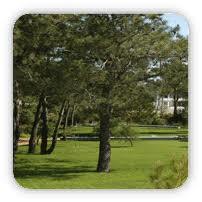 Parque Aventura da Charneca de Caparica