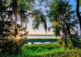 Gascoigne Bluff Park