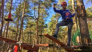 Park Linowy Konik Polny w Rowach