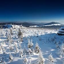 Lookout tower Cerna Studnice