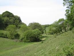 Ringstead Downs