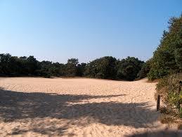 Allurepark 't Eekhoornnest