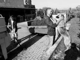 Azienda Agricola Cantrina