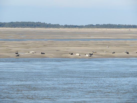 Vuurtoren van Le Hourdel