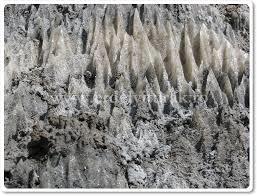 Salt Hill Nature Reserve