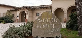 Fattoria Adanti