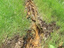 Vyhniansky travertin