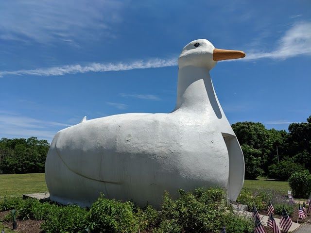 The Big Duck