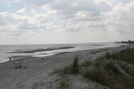 Køge Bugt Strandpark