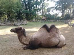 Tierpark Angermünde