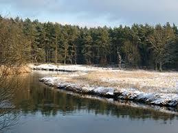 Lüneburger Ilmenauniederung mit Tiergarten