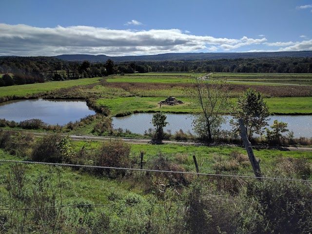 Kelder's Farm