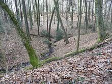 Naturschutzgebiet Aplerbecker Wald