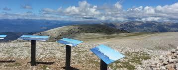 Pedro dels Quatre Batlles