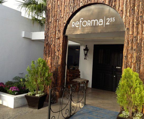 Reforma 255